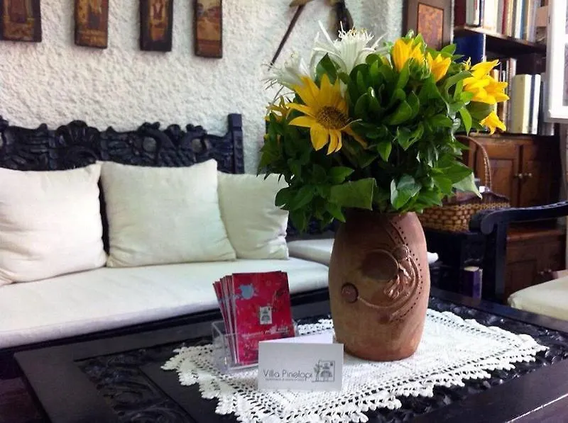 Villa Pinelopi Mykonos Town Aparthotel
